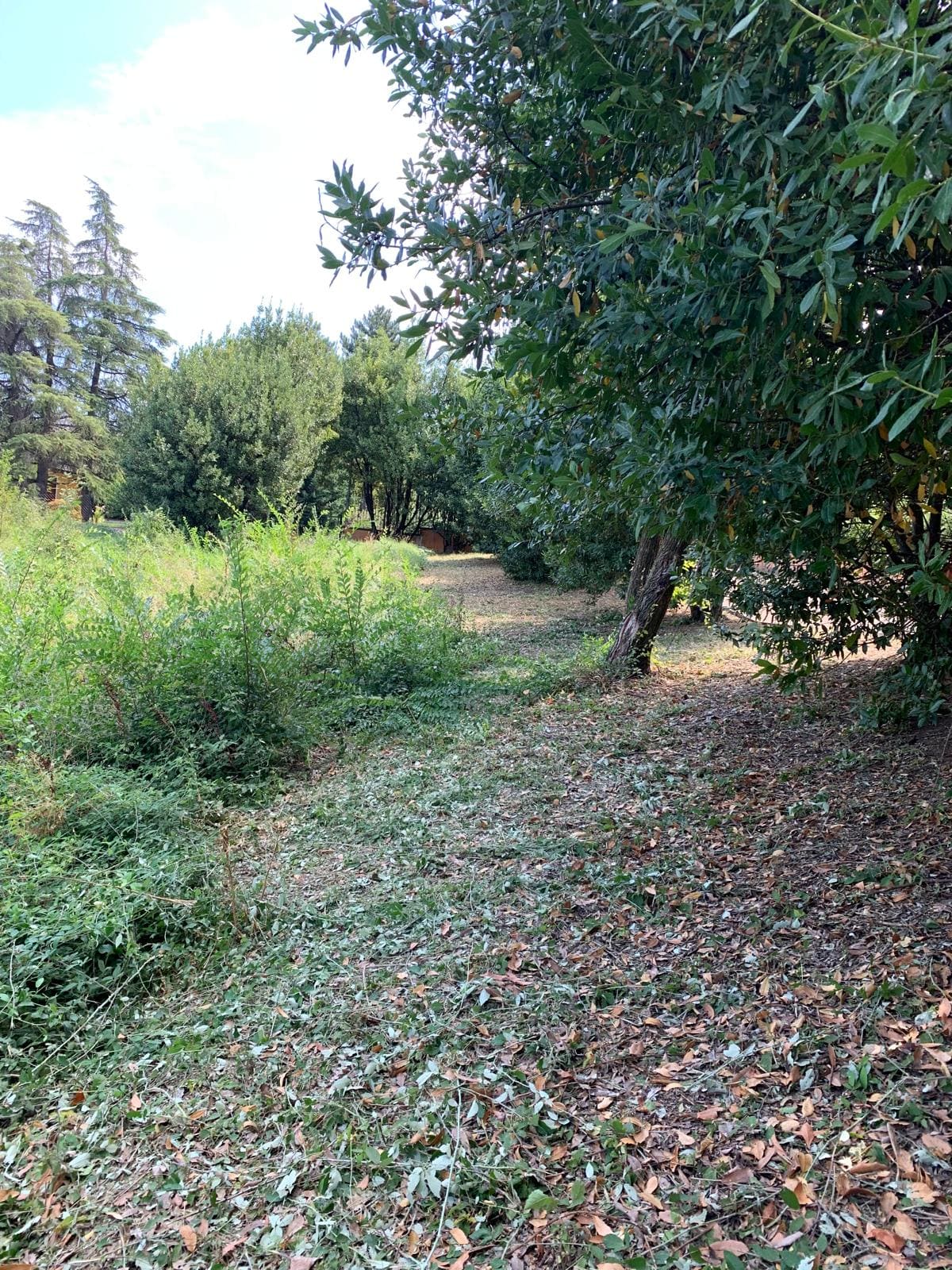 mantenimento-giardini-reggio-garden (3)